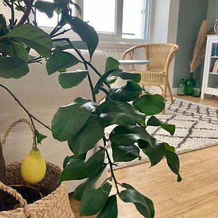 Le Citronnier Apartment Fouesnant Ngoại thất bức ảnh