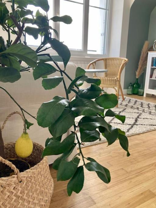 Le Citronnier Apartment Fouesnant Ngoại thất bức ảnh